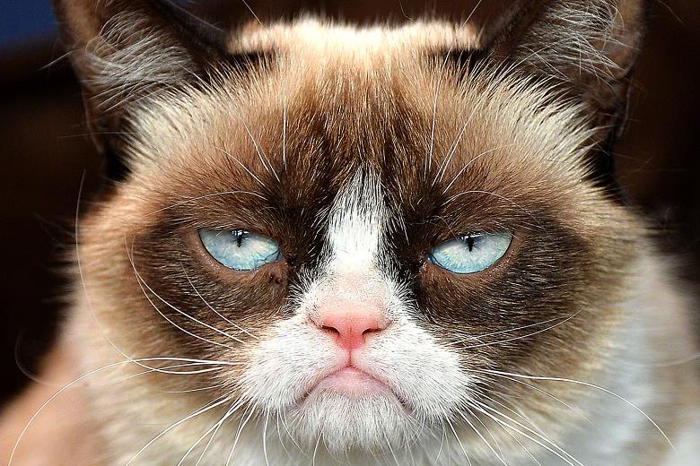 SusanCalman's tweet photo. Back to work tomorrow. http://t.co/7yRn2XV7yr