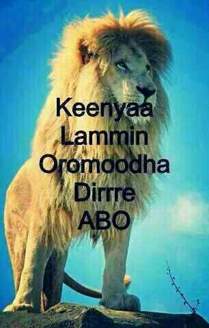 oromo_sabontu's tweet photo. Jabaadhu ABO OROMO Koo leencaa http://t.co/v50HtaOohx