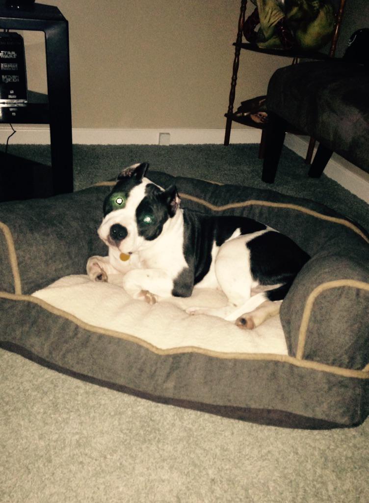 GaredPopp's tweet image. 