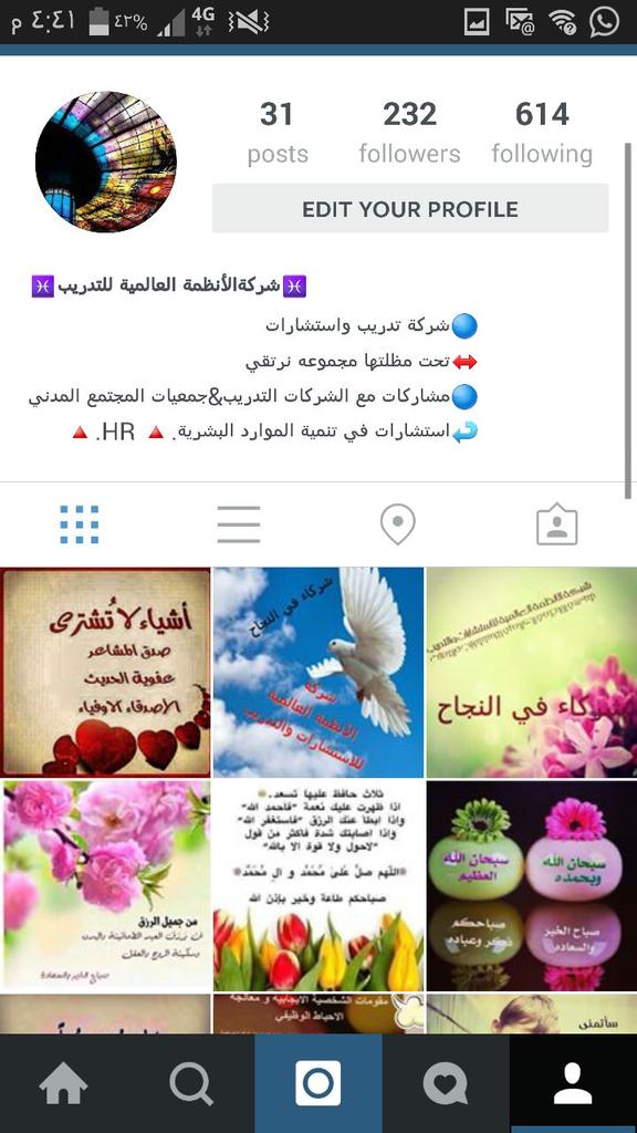 فلو.  لحساب الانظمة