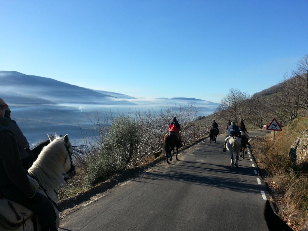 Perezppf's tweet photo. Magnífica mañana de domingo .. http://t.co/awd9lVorI8