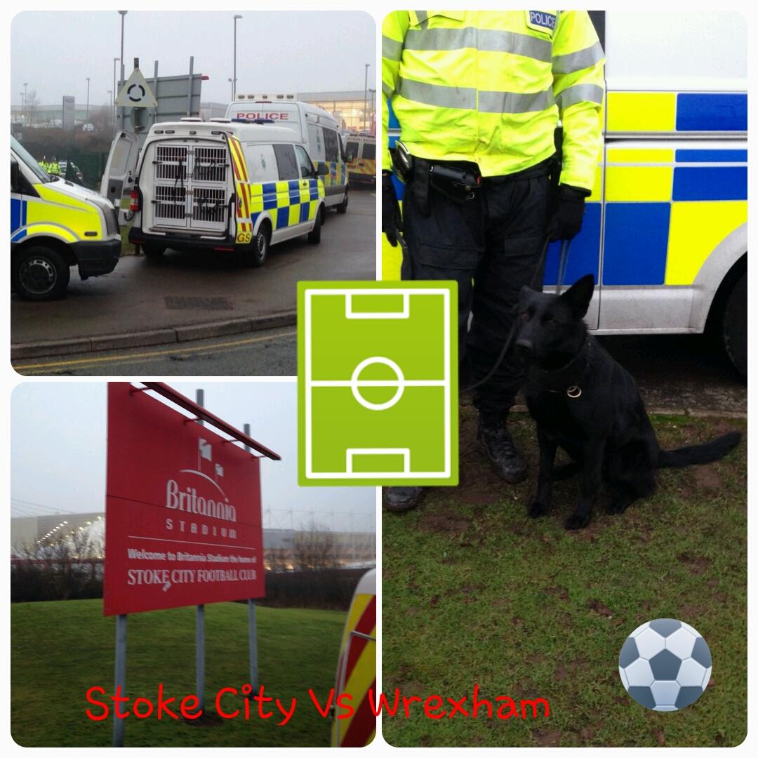 StaffsDogs's tweet photo. #pdSnaps #pdLex #pdPippa & Razor have all been supporting colleagues at todays football @policingstoke #Tactical๐ถ๐ฎ๐พ http://t.co/oEPptYIGER