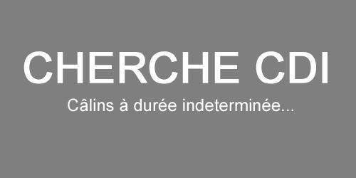 TFBFR's tweet image. 