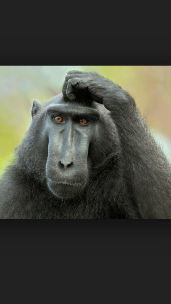 Only_Real_Truth's tweet photo. When you're looking at a menu at a restaurant and have no clue what to get http://t.co/DlHSCUJxJ3
