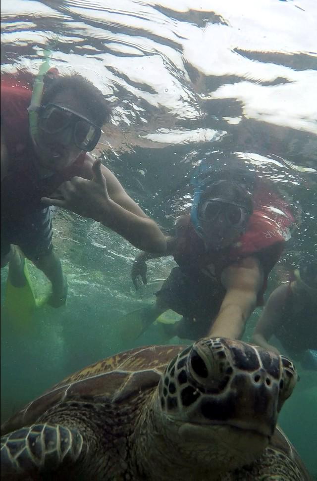 chasenettleton_'s tweet photo. #TurtleSelfies 🐢 http://t.co/tfDY1dcjQI
