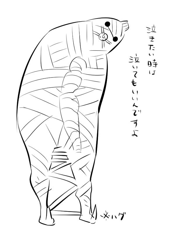 遅ればせながらあけましておめでとうございますーお正月にベイマックス見て来たよー面白かったよー! 