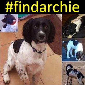 Find Archie tweet media