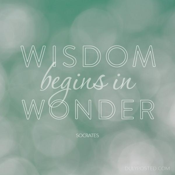 readytomaster's tweet image. What do you do to open your mind? #quotes #education #Socrates