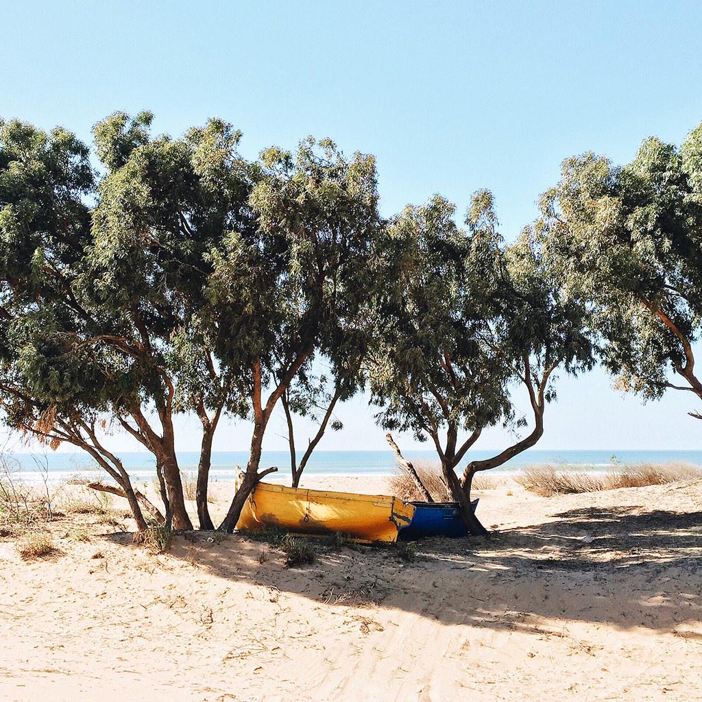 finnbeales's tweet photo. Marooned on the coast of Africa. Weather set fare. Camels on the horizon. Sporadic access to Internet. http://t.co/rGvpC2PHHx