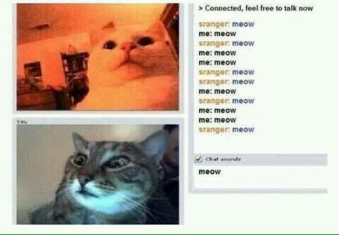 convos w me n u butt booty pop