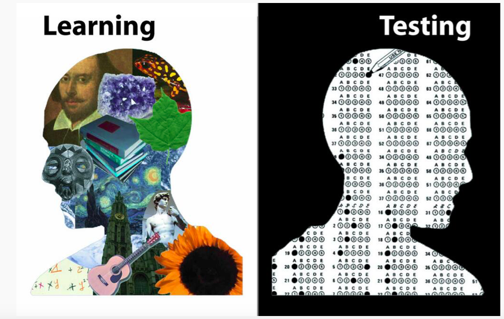 Picsined's tweet photo. via @danieldmccabe learning vs testing http://t.co/mLVb8o5CuR