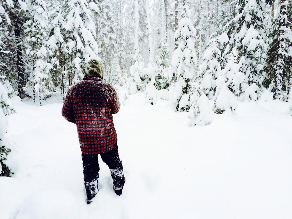 Canoe_Algonquin's tweet photo. What a day for a snowshoe through the woods! Absolute beauty! If you're not up here, you're missing out! #kearney http://t.co/QydroVUjns