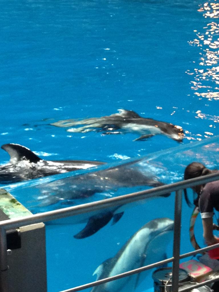 사오리☆ tweet media