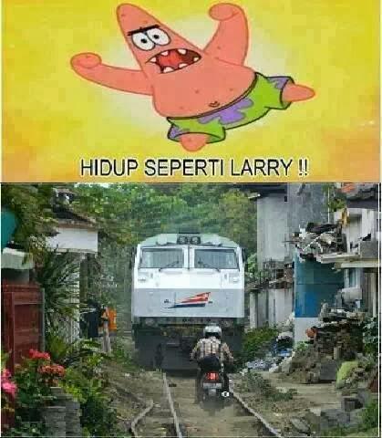 Hidup seperti larry :3 -An 
\