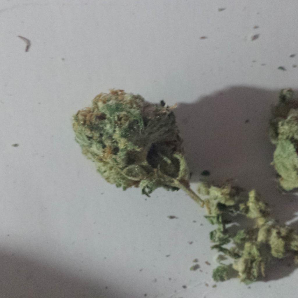 Jet fuel OG strain