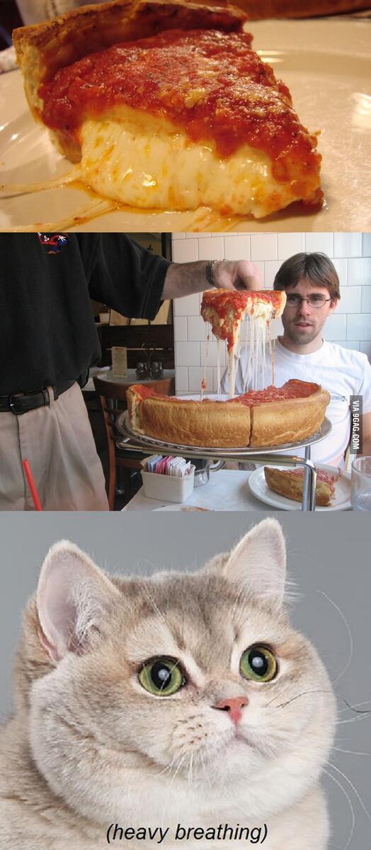 9GAG ❤️ Memeland tweet media