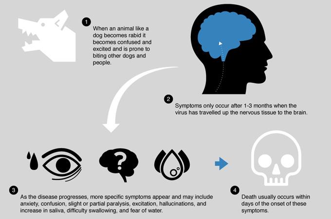 Lifelines tweet media