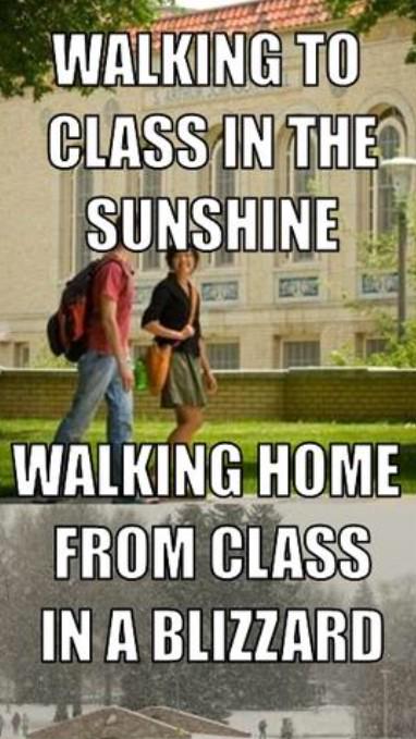 ColoradoLolz tweet picture
