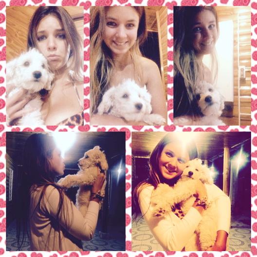 OteroAniBelen's tweet photo. Ayy pero que cosita mas bonita que me encontré!! #perritou #tiernitou #chiqui #ternurita http://t.co/LKQ8IOrfmt