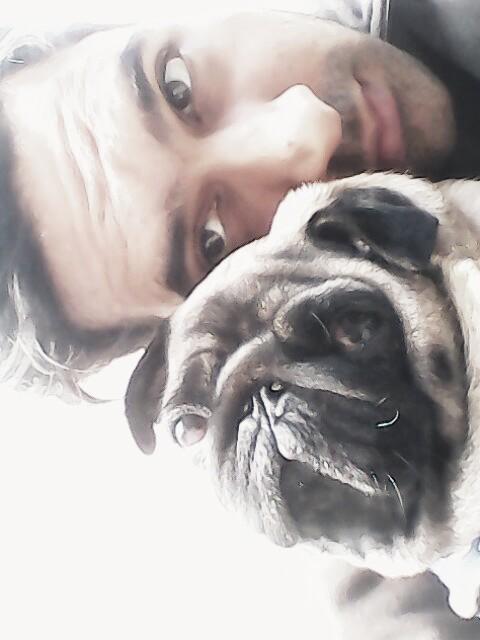 Embedded image permalink