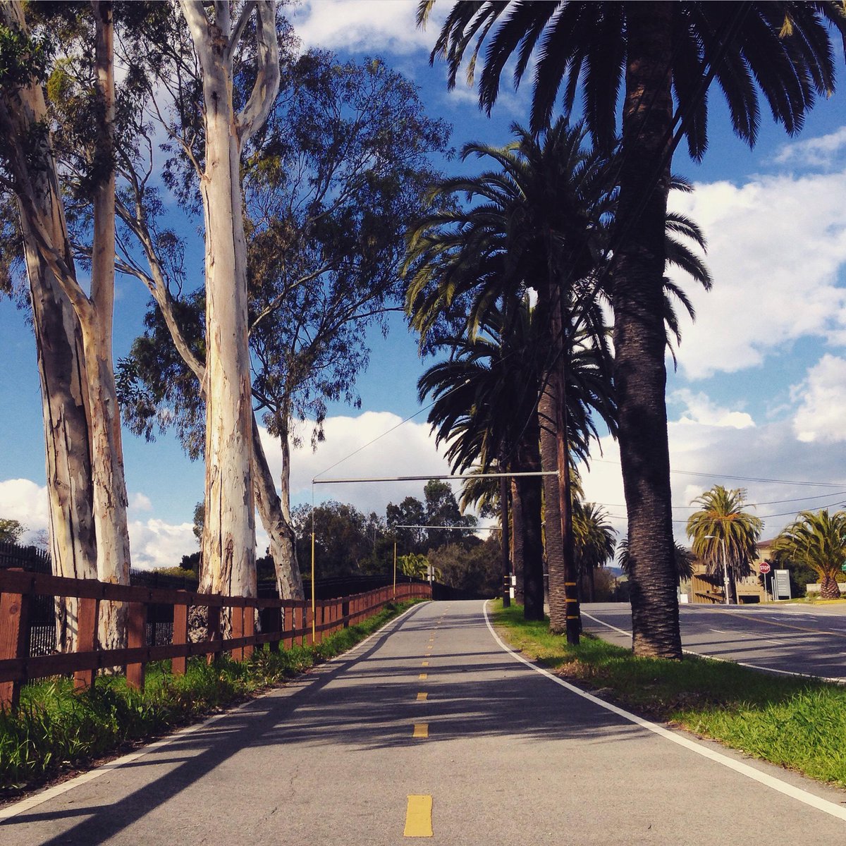 CalPoly's tweet image. We’re excited to have our students back at school tomorrow and we hope you all had a wonderful break! #LearnByDoing