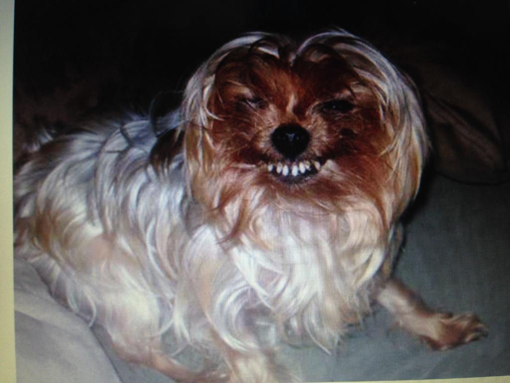 Bailey_Carver's tweet photo. @leah_mell @addythealien yas. http://t.co/lS2EZqrAaY