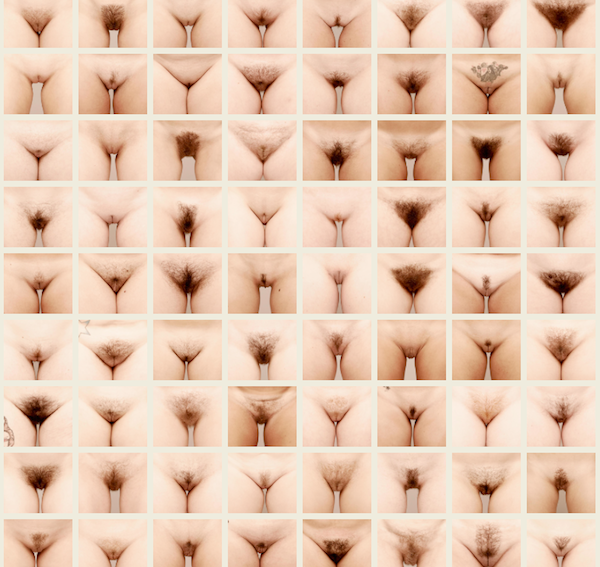 Cual es tu tipo preferido?