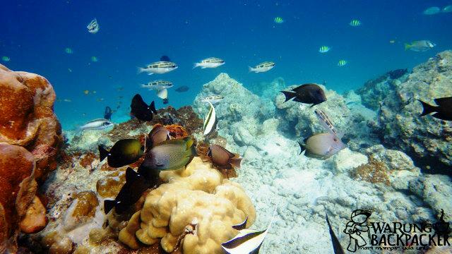udarido's tweet photo. Ngeliat ini kebayang2 timur indonesia :| aaaaaakkk http://t.co/tBIDscRIRq