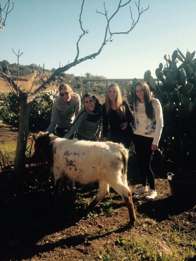 laiabeltran's tweet photo. Un gran dia i moltiisimes rises!!! @_Saratp @evarodriguez_89 @paulaandreu8 http://t.co/3DN9e24QBC