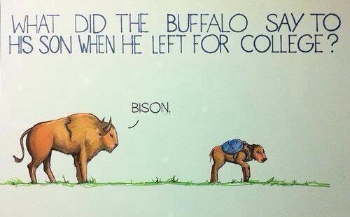 chalk_street's tweet photo. First, a joke. #college http://t.co/7E4kkqA6AY