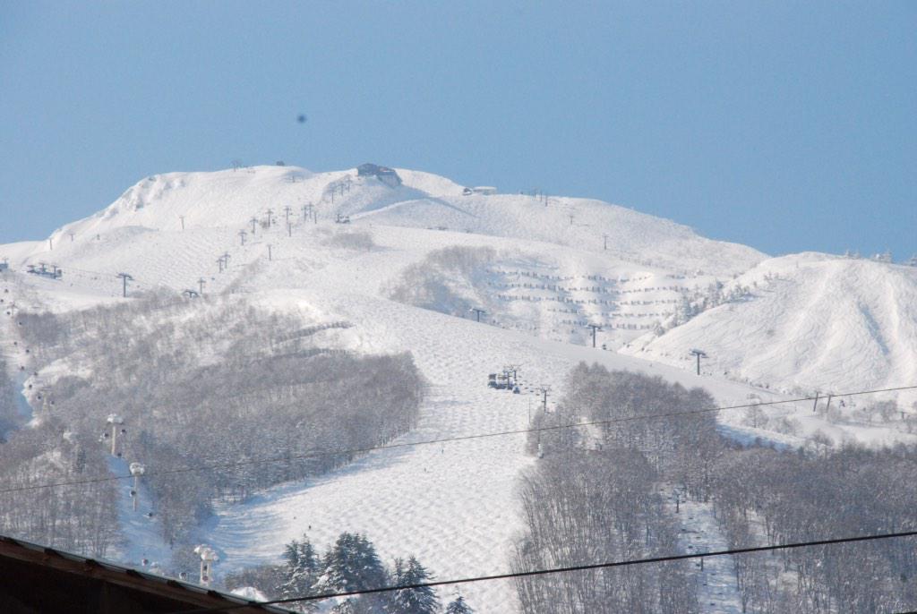 Enjoying the sunshine