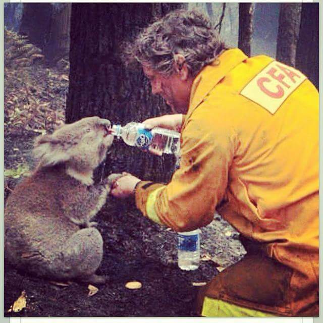 leecappa's tweet photo. #bushfires #adelaide #southaustralia #sampsonflat http://t.co/thKXig0PvR