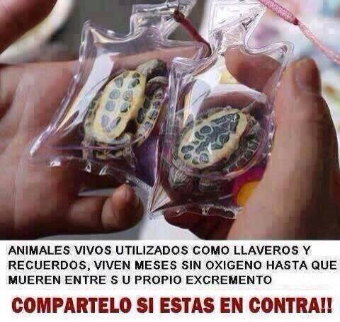 _Paisajes_'s tweet photo. URGENTE!!! Retweet para difundirlo http://t.co/zWOU8Hx8qS