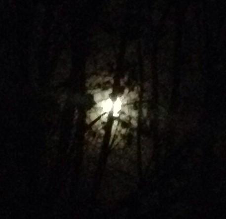 mommylovestech's tweet photo. Beautiful Setting full moon! Thanku! RT@RichardinTC: @mariasearth HappyNewYear & Welcome Back!! #FullmoonPic http://t.co/ktge3jZRoh