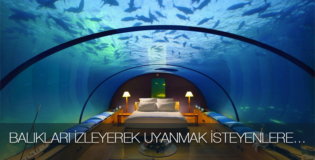 Balıkları izleyerek uyanmak isteyenlere… Mutlu haftalar!