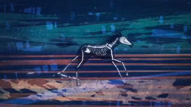 CreativeBloq's tweet photo. Stunning short animation is as beautiful as it gets: http://t.co/hidobh0yNZ http://t.co/nGfIqyce0J