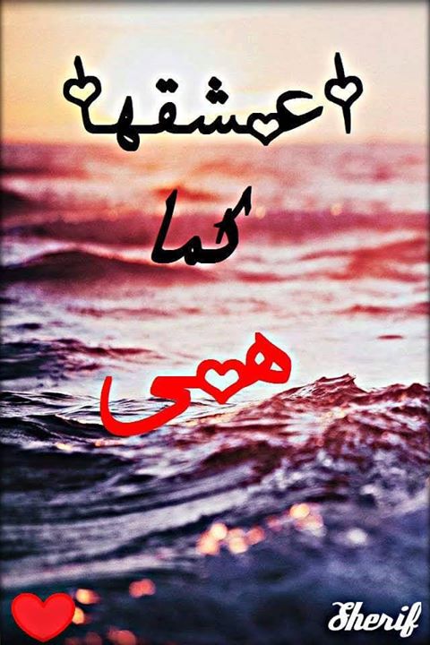 MAashq tweet picture