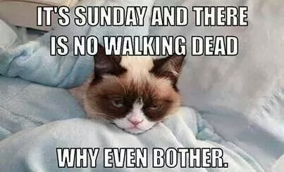 #WalkerWithdrawals RT <a href="/CleeBarry/">CLee Flibbertigibbet</a>: Made it through another Sunday without <a href="/WalkingDead_AMC/">The Walking Dead</a> Feb 8 please hurry up.