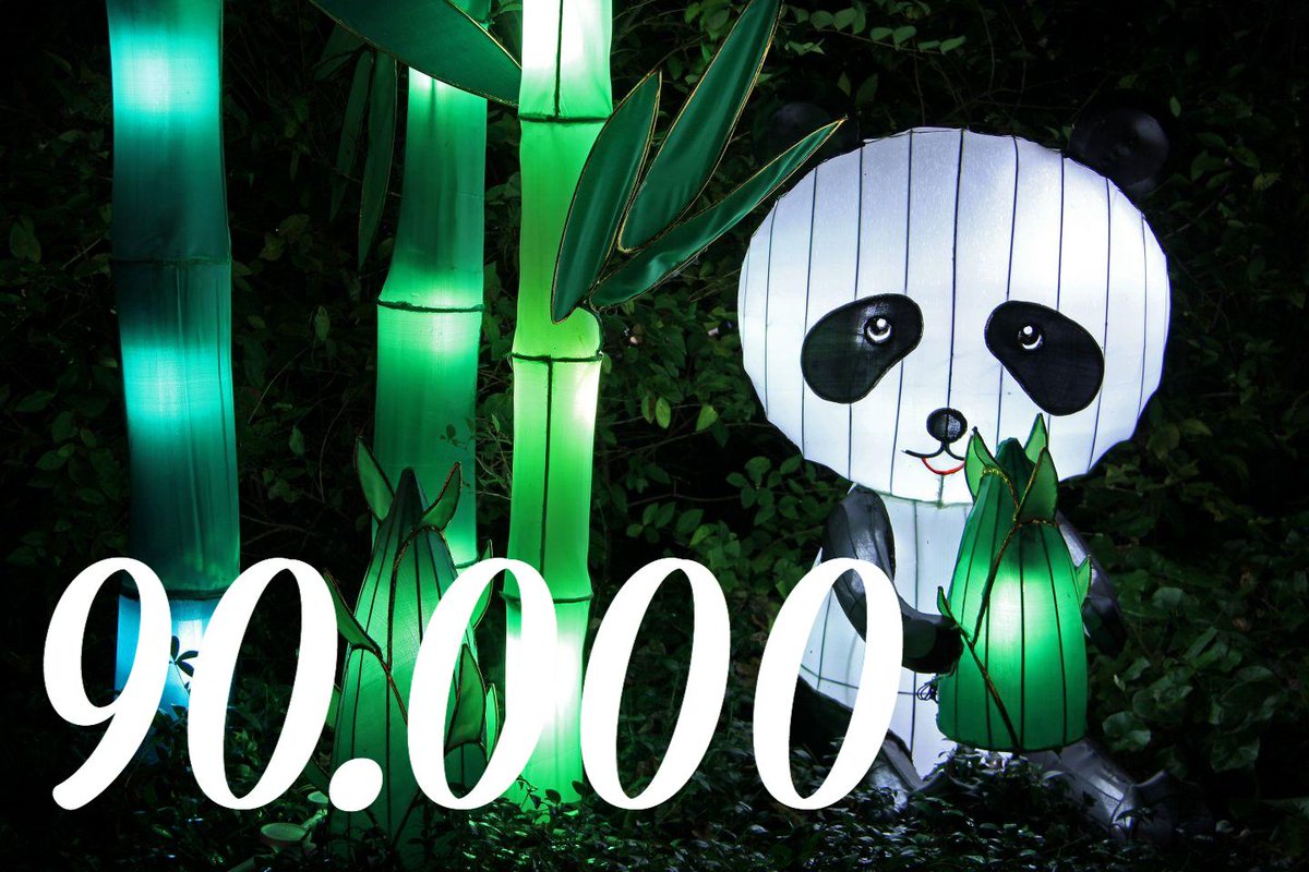 ChinaLightFestival tweet media