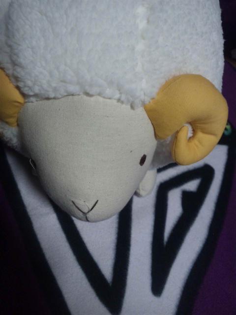 堂本兄弟新春SP