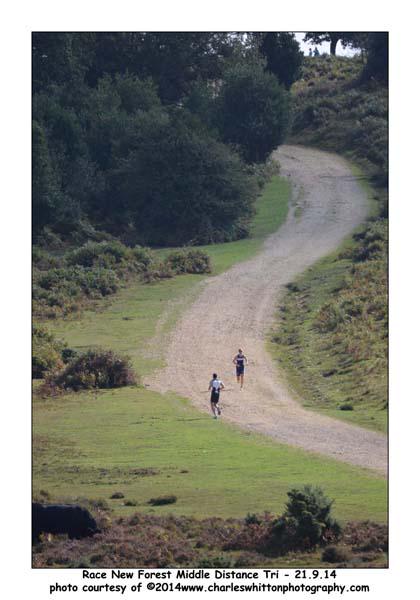 Just freed up some more places in racenewforest.co.uk/half-marathons…  but it is filling fast! #HeartbreakerRuns