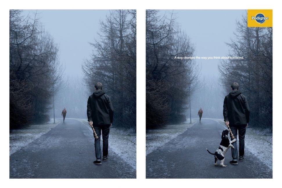 Pedigree показывает, насколько сильно собака может изменить мнение о человеке.