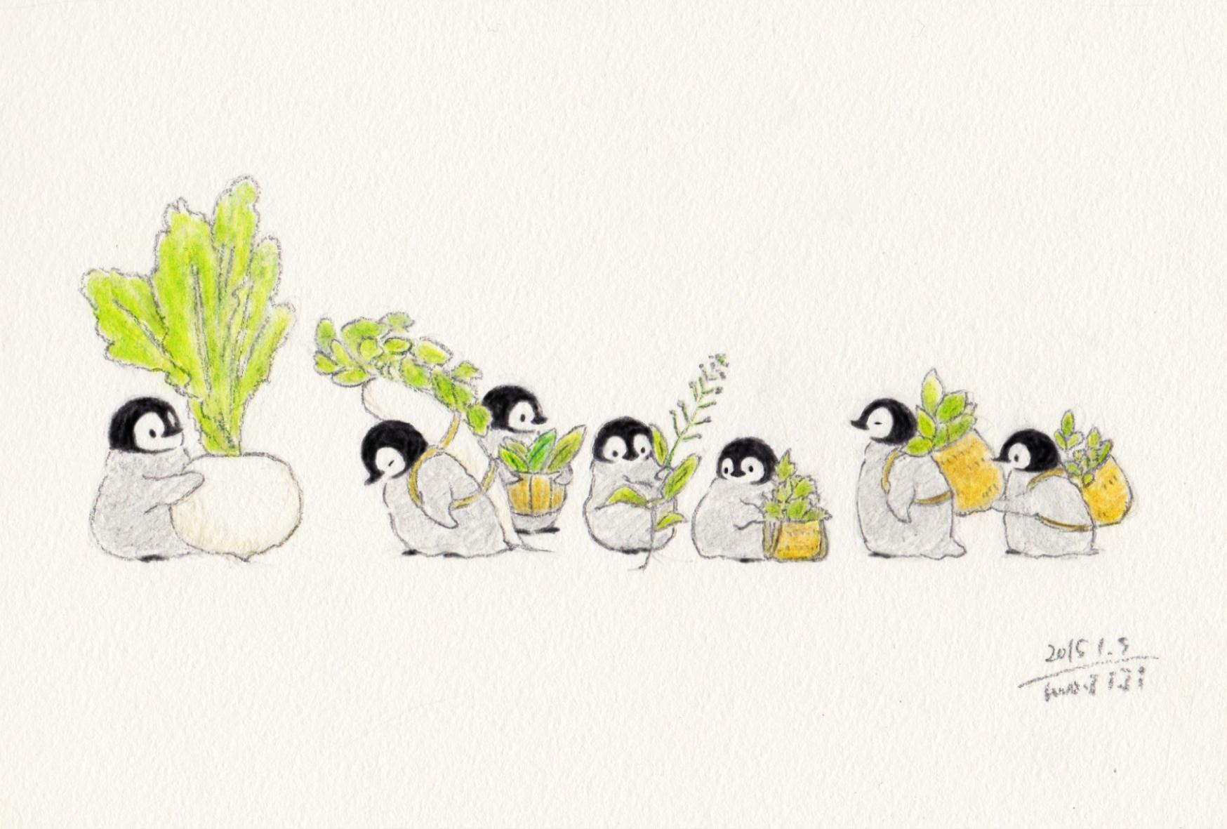 Namahagen Mojimojiji おはようございます ペンギンのイラスト可愛いです 可愛いです 可愛いです Twitter