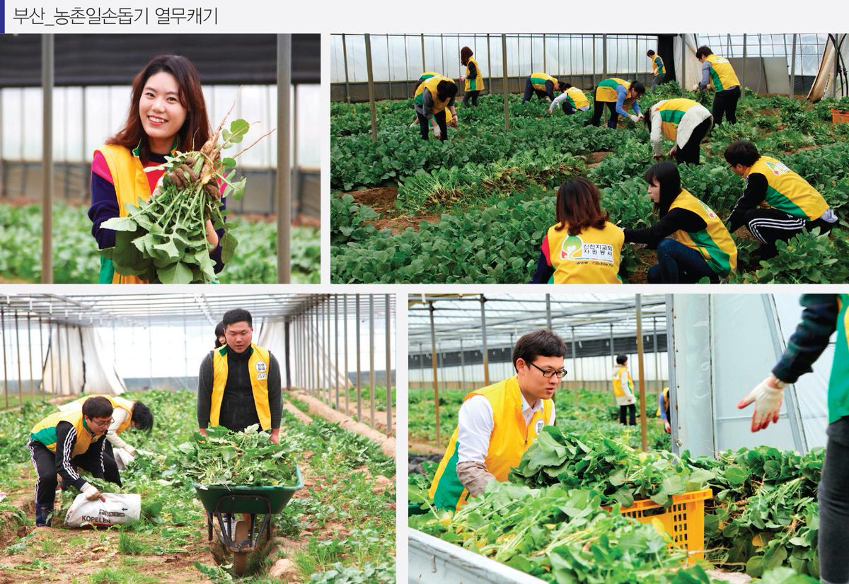 일손이 부족한 농촌에 도움의 손길을 내민 신천지교회.
세상에서 지치고 상처받은 영혼들, 성경을 알지 못해 방황하는 영혼들에게 본인이 가지고 있는 성경말씀으로 밝혀주는 모습과 같네요^.^