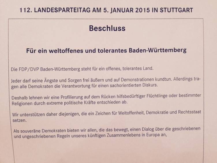 ... und deshalb bin ich in der FDP!