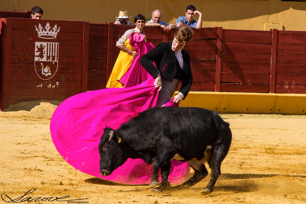 Mrmartinsx's tweet photo. Aquí dejo unas fotografías de Salvador Romero, de esta temporada pasada! http://t.co/ROJy5hWMFu