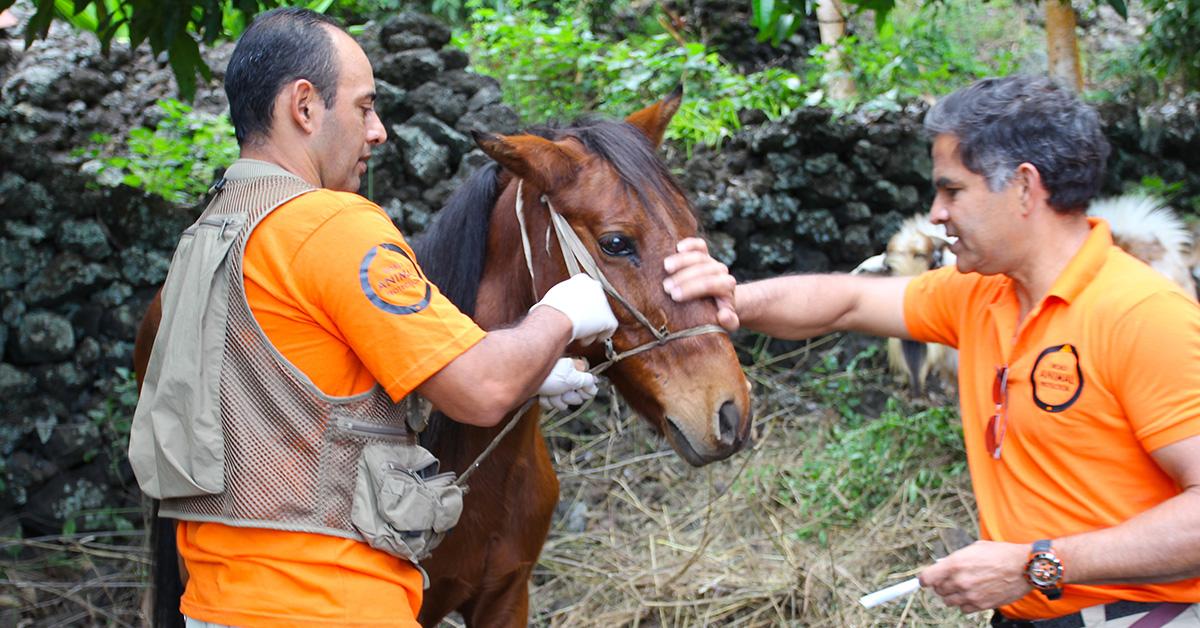MoveTheWorldCA's tweet photo. Nous protégeons les animaux touchés par des catastrophes . Suivez-nous pour en savoir plus. http://t.co/4k8Bfp3vdu