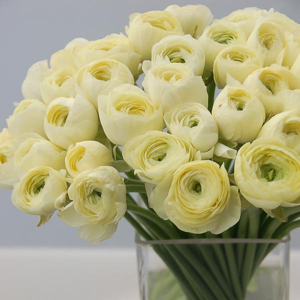 bridalguidemag tweet picture