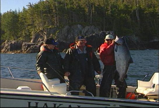 YouFishdotTV's tweet image. 60 pound #Salmon. This video clip tells the story of a big one that didn't get away! youfish.tv/60-pound-tyee_…