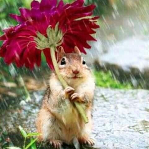 simococ123443's tweet image. 